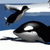 Yeti 2 Orca Slap
