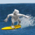 Yeti Big Wave